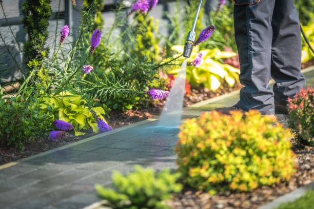 Best Driveway Pressure Washing  in Center Moriches, NY